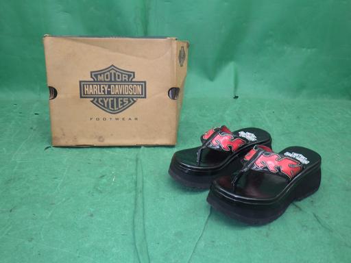 510318001　　クリックすると、もっと大きい画像を表示