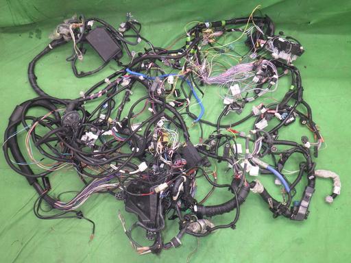 513784005　　クリックすると、もっと大きい画像を表示