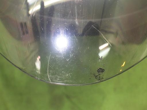 506433004　　クリックすると、もっと大きい画像を表示