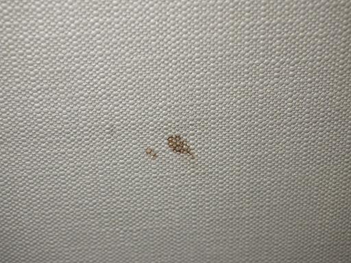 512013008　　クリックすると、もっと大きい画像を表示