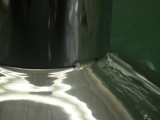 513899004　　クリックすると、もっと大きい画像を表示