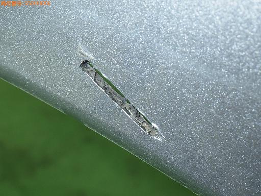 556694006　　クリックすると、もっと大きい画像を表示