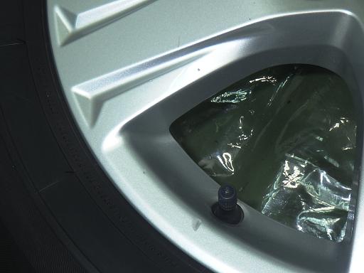 565595002　　クリックすると、もっと大きい画像を表示