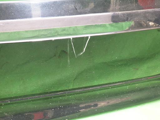 508196004　　クリックすると、もっと大きい画像を表示