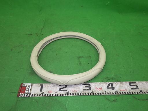 508309005　　クリックすると、もっと大きい画像を表示