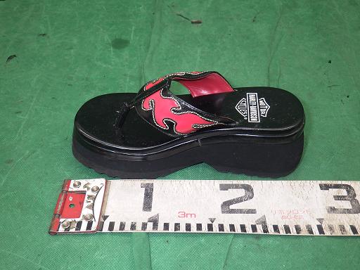 510318001　　クリックすると、もっと大きい画像を表示