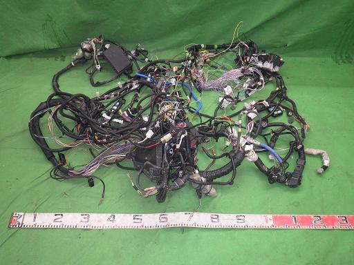 513784005　　クリックすると、もっと大きい画像を表示