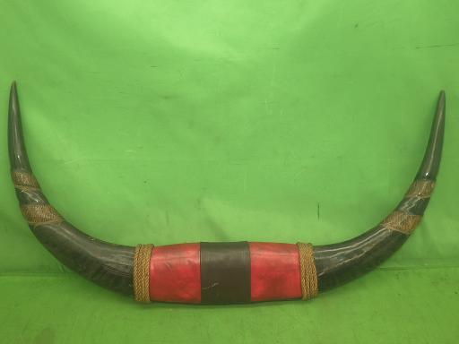 564345002　　クリックすると、もっと大きい画像を表示