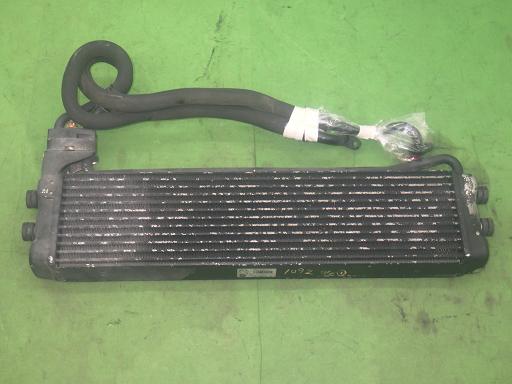 565275002　　クリックすると、もっと大きい画像を表示