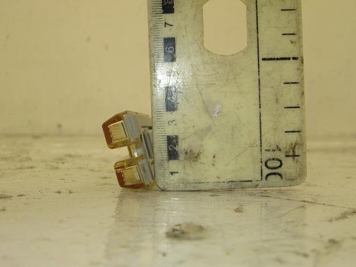 484310006　　クリックすると、もっと大きい画像を表示