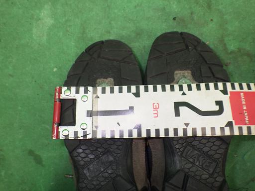 498724002　　クリックすると、もっと大きい画像を表示