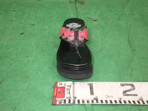 510318001　　クリックすると、もっと大きい画像を表示