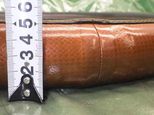 512850011　　クリックすると、もっと大きい画像を表示