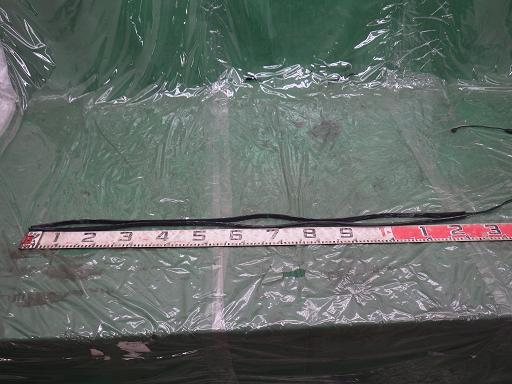 513189002　　クリックすると、もっと大きい画像を表示