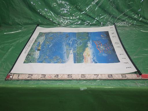 515439024　　クリックすると、もっと大きい画像を表示