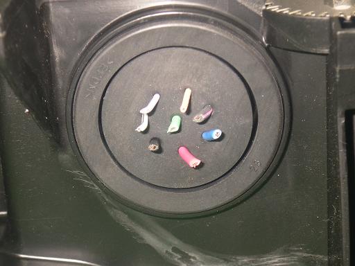 557733008　　クリックすると、もっと大きい画像を表示