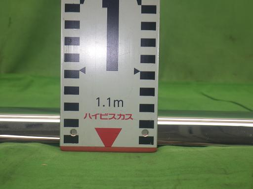 560299002　　クリックすると、もっと大きい画像を表示