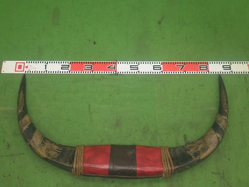 564345002　　クリックすると、もっと大きい画像を表示