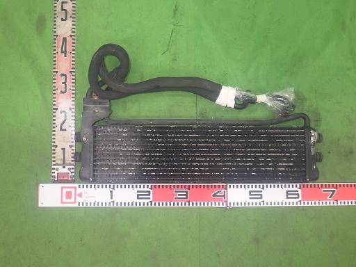 565275002　　クリックすると、もっと大きい画像を表示