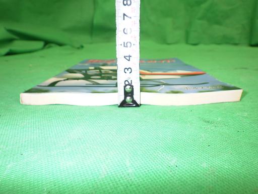 499861001　　クリックすると、もっと大きい画像を表示