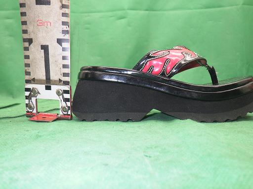 510318001　　クリックすると、もっと大きい画像を表示