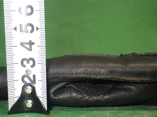 511461005　　クリックすると、もっと大きい画像を表示