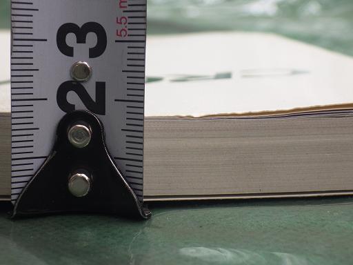 512839003　　クリックすると、もっと大きい画像を表示