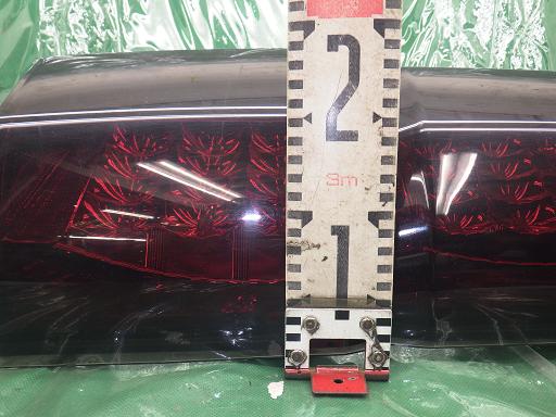 514122010　　クリックすると、もっと大きい画像を表示