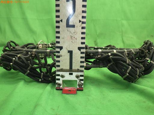 557115001　　クリックすると、もっと大きい画像を表示