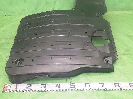 557876001　　クリックすると、もっと大きい画像を表示