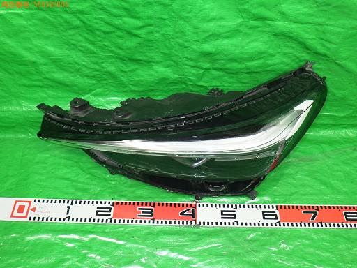 558393006　　クリックすると、もっと大きい画像を表示