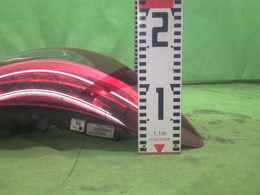 565125004　　クリックすると、もっと大きい画像を表示