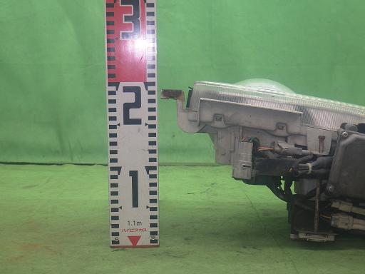 565295005　　クリックすると、もっと大きい画像を表示