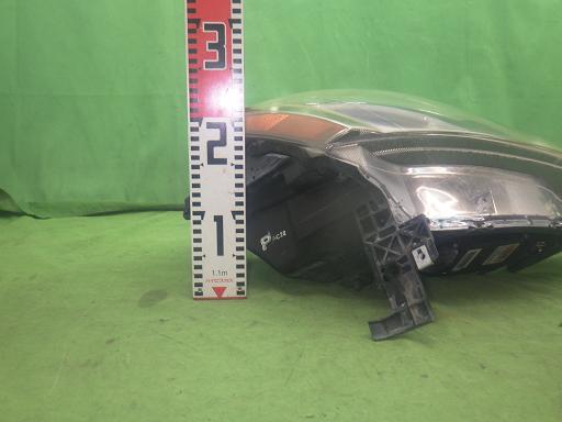 565427001　　クリックすると、もっと大きい画像を表示