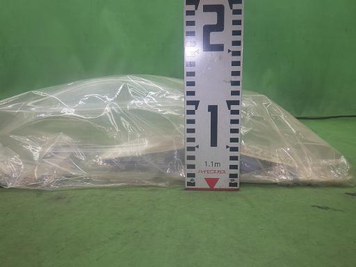 565541017　　クリックすると、もっと大きい画像を表示