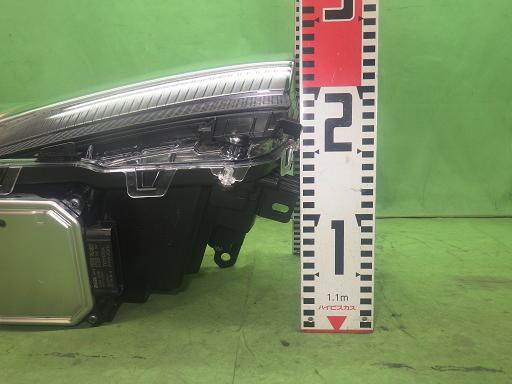 565605001　　クリックすると、もっと大きい画像を表示