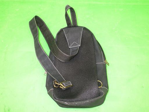 505286006　　クリックすると、もっと大きい画像を表示