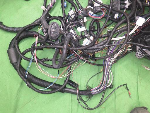 513784005　　クリックすると、もっと大きい画像を表示