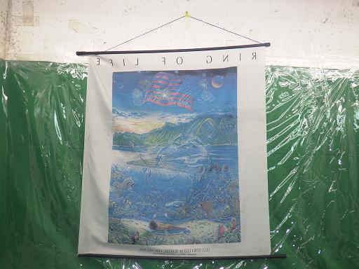 515439024　　クリックすると、もっと大きい画像を表示