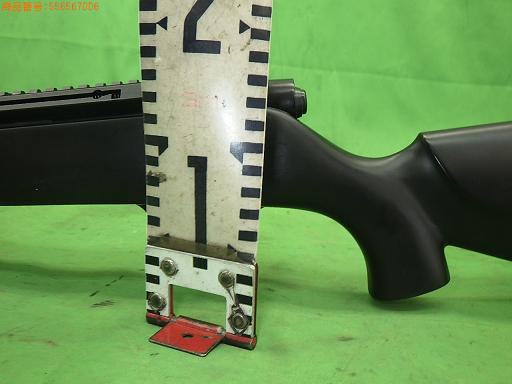 556567006　　クリックすると、もっと大きい画像を表示