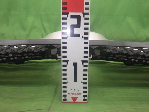 557908002　　クリックすると、もっと大きい画像を表示