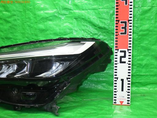 558393006　　クリックすると、もっと大きい画像を表示