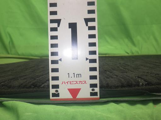 559752006　　クリックすると、もっと大きい画像を表示