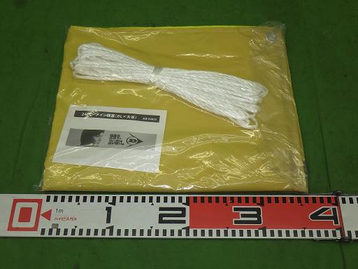 563645003　　クリックすると、もっと大きい画像を表示