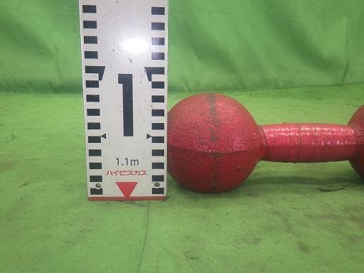 563879003　　クリックすると、もっと大きい画像を表示