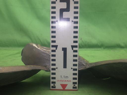 564307001　　クリックすると、もっと大きい画像を表示