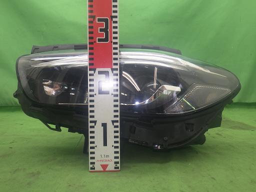 564562004　　クリックすると、もっと大きい画像を表示