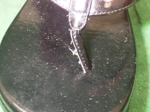 510318001　　クリックすると、もっと大きい画像を表示