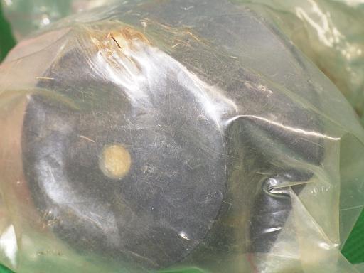 511417008　　クリックすると、もっと大きい画像を表示