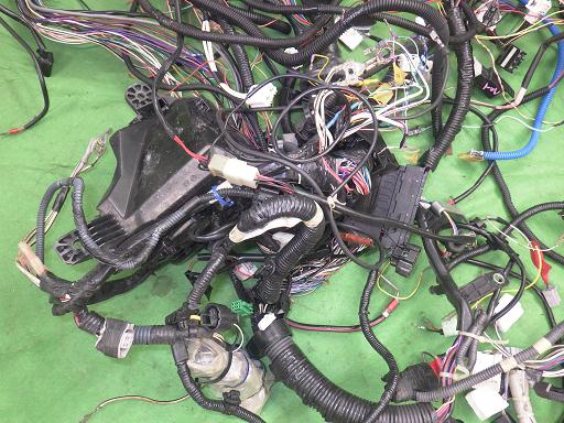 513784005　　クリックすると、もっと大きい画像を表示